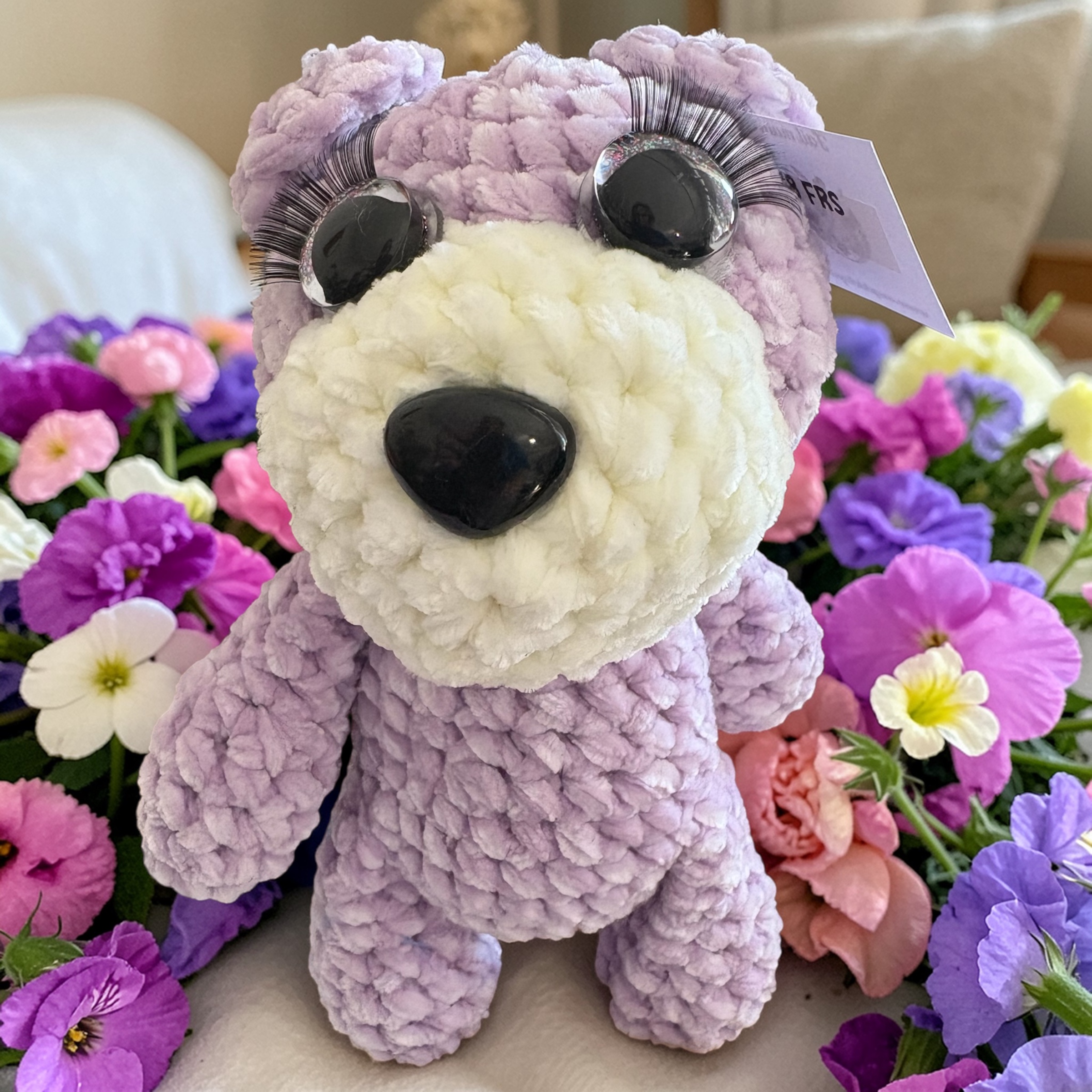 Image supplémentaire