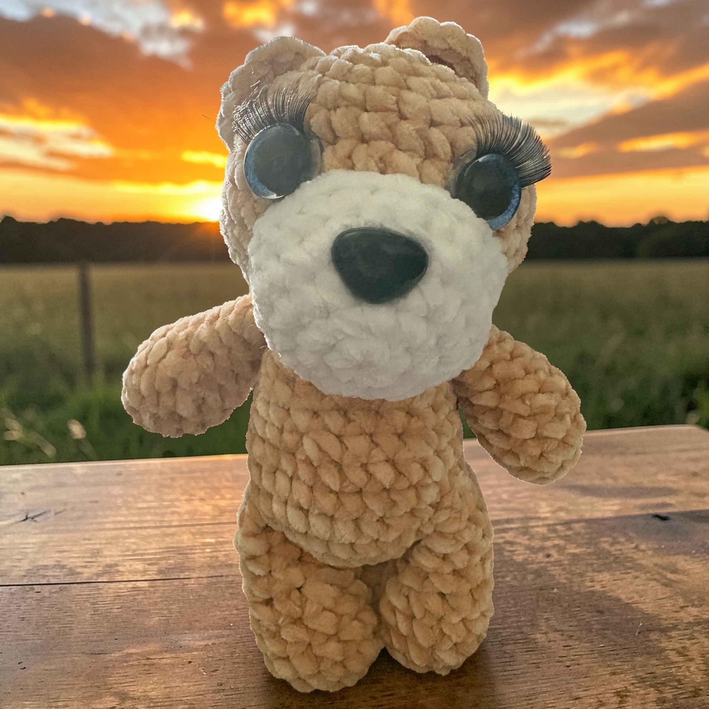 Image supplémentaire